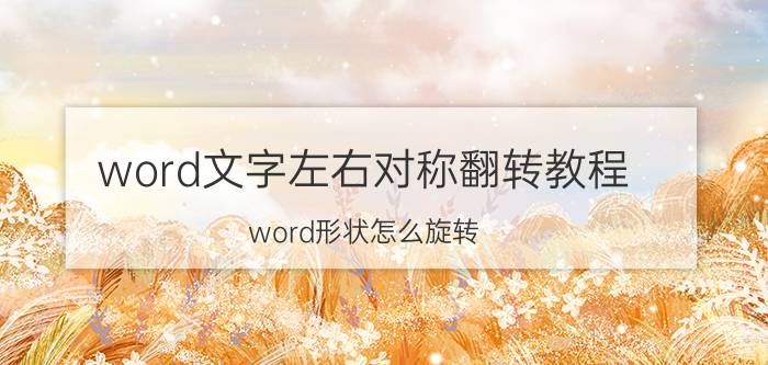 word文字左右对称翻转教程 word形状怎么旋转？